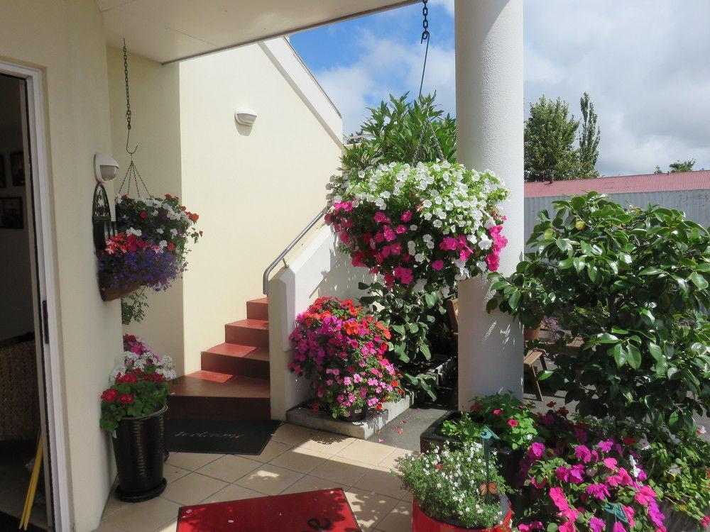 Boutique 4* Nelson